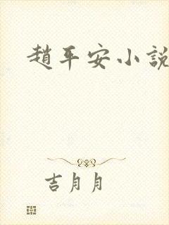 赵平安小说主角封面