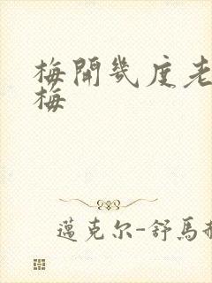 梅开几度老周张梅封面