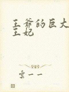 王爷的巨大进入王妃