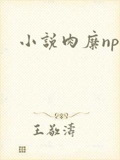 小说肉糜np