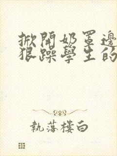 掀开奶罩边躁狠狠躁学生的小文字封面