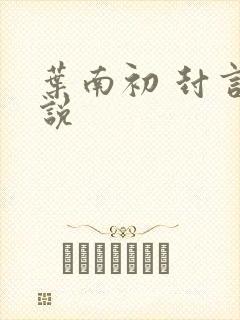 叶南初 封言小说