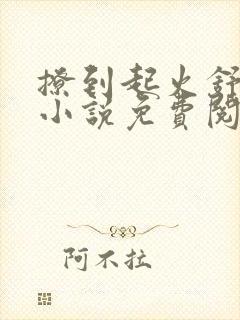 撩到起火舒漾的小说免费阅读全文