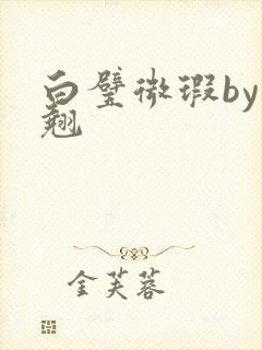 白璧微瑕by连翘封面