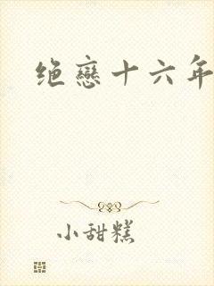 绝恋十六年封面