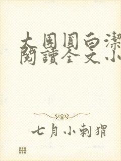 大团圆白洁免费阅读全文小说