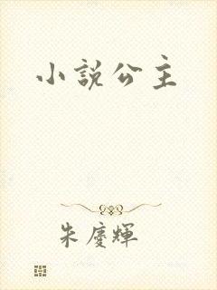 小说公主封面