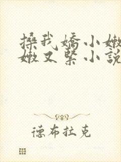 搡我娇小嫩苞又嫩又紧小说封面