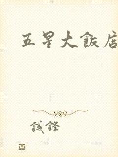 五星大饭店小说