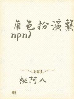 角色扮演系统(npn)封面