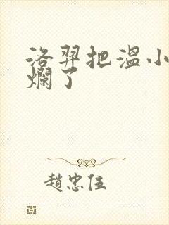 洛羿把温小辉做烂了封面