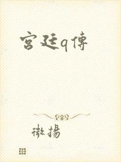 宫廷q传