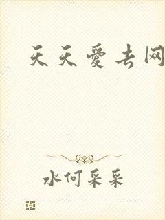 天天爱去网