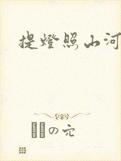提灯照山河封面