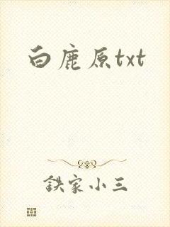 白鹿原txt封面
