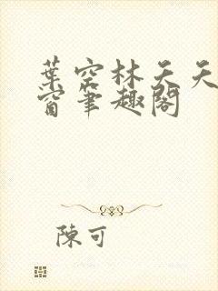 叶空林夭夭无弹窗笔趣阁封面