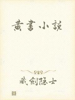 黄书小说