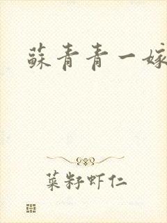 苏青青一嫁三夫封面