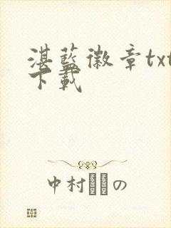 湛蓝徽章txt下载