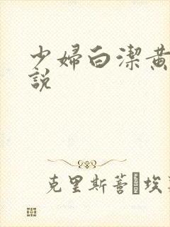 少妇白洁黄色小说