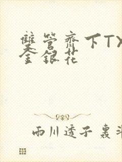 双管齐下TXL金银花封面