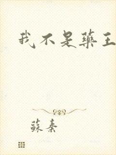 我不是药王封面