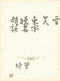 赵晓东吴雪晴小说名字