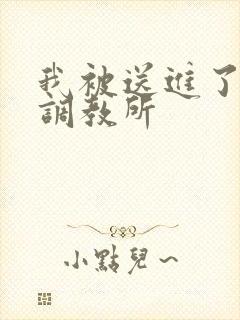 我被送进了私奴调教所