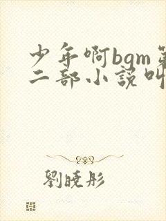 少年啊bgm第二部小说叫什么
