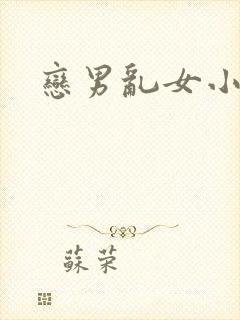 恋男乱女小说