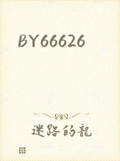 BY66626封面