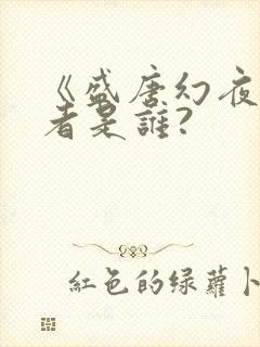 《盛唐幻夜》作者是谁?封面