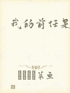 我的前任是极品