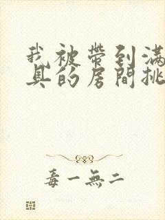 我被带到满是玩具的房间挑调游戏封面