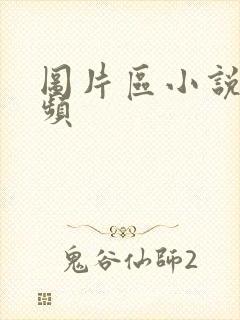 图片区小说区视频