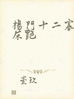 杨门十二寡妇肉床艳