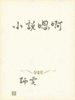小说嗯啊