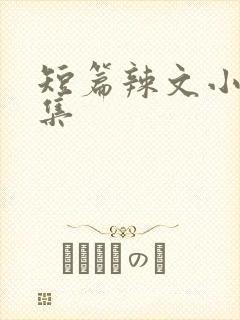 短篇辣文小说合集