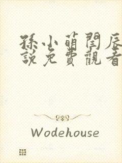 孙小萌闫辰的小说免费观看