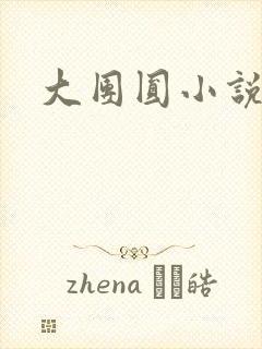 大团圆小说封面