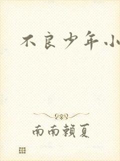 不良少年小说