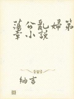 荡公乱妇第51章小说