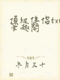 顶级伴侣txt笔趣阁