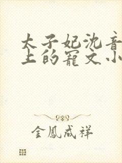 太子妃沈音和皇上的宠文小说