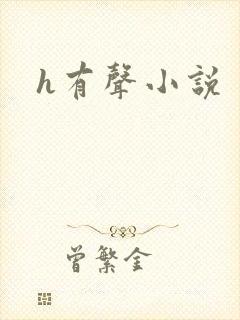 h有声小说