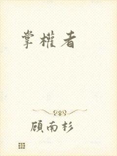 掌权者封面