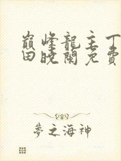 巅峰龙主丁长顺田晓兰免费阅读