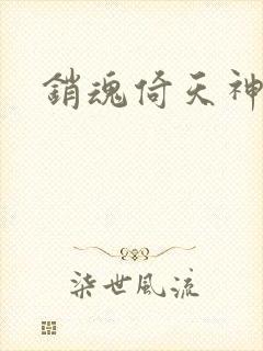 销魂倚天神雕封面