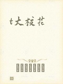 t大校花
