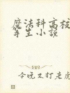 魔法科高校的劣等生小说